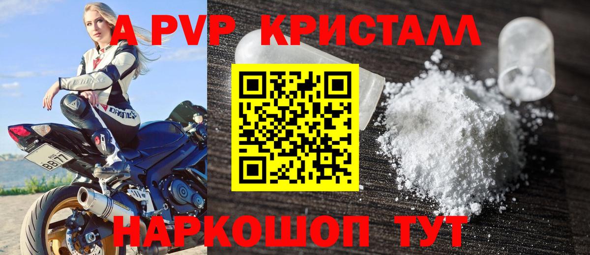 МЕФ Хасавюрт