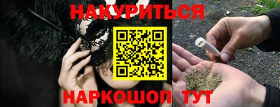 прущие грибы Краснодар