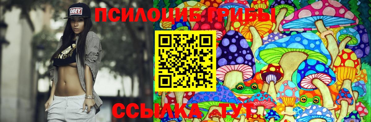 Галлюциногенные грибы Psilocybe Хасавюрт