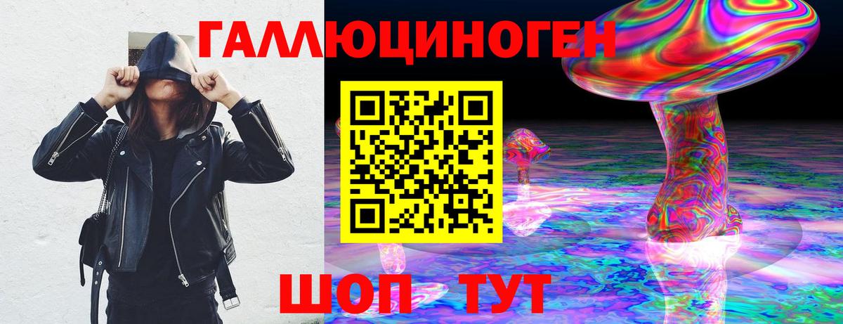 Хасавюрт  Галлюциногенные грибы GOLDEN TEACHER  купить   Вход с VPN 